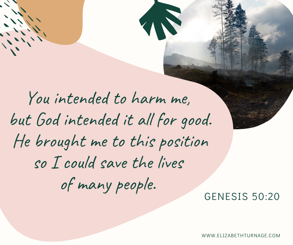 Genesis 50:20