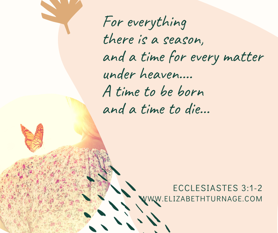 Ecclesiastes 3:11-12