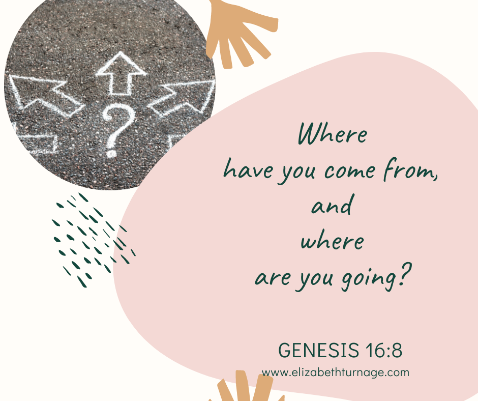 Where have you come from, and where are you going? Genesis 16:8, ESV