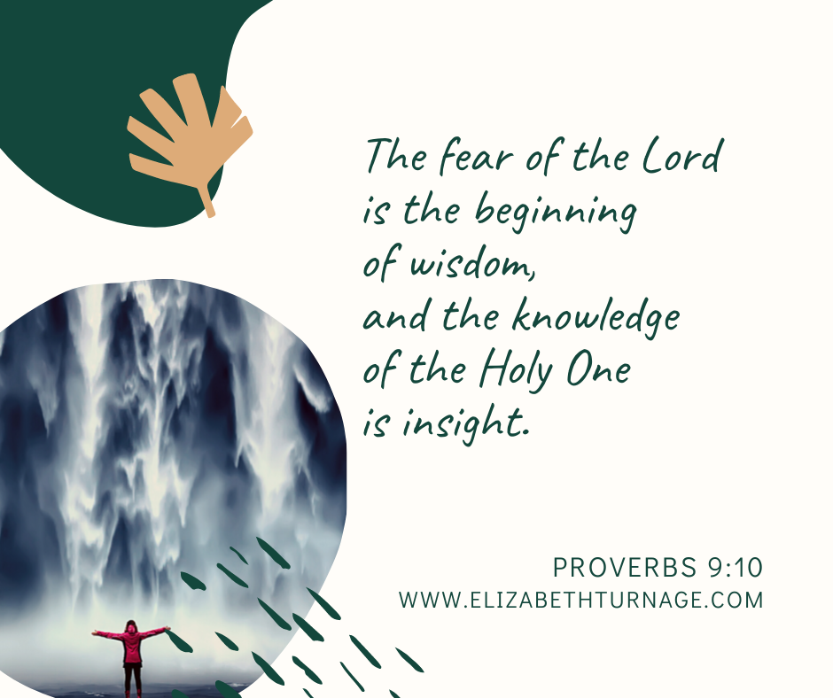 The fear of the Lord is the beginning of wisdom,     and the knowledge of the Holy One is insight. Proverbs 9:10