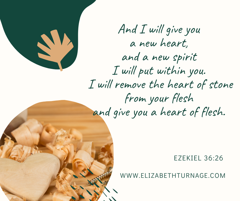 And I will give you a new heart, and a new spirit I will put within you. I will remove the heart of stone from your flesh and give you a heart of flesh. Ezekiel 36:26.