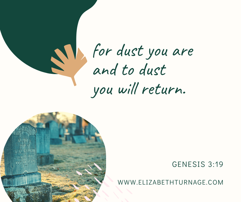 …for dust you are     and to dust you will return. Genesis 3:19