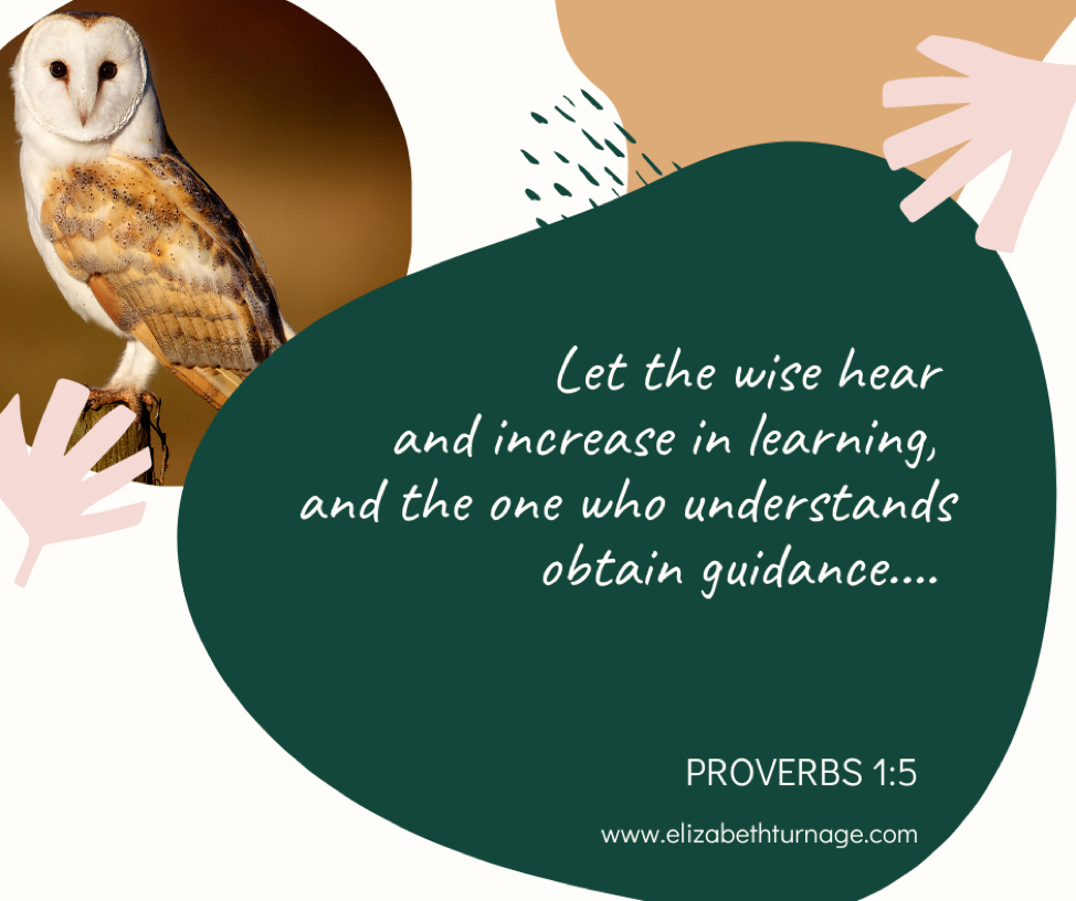 Let the wise hear and increase in learning, and the one who understands obtain guidance.... Proverbs 1:5