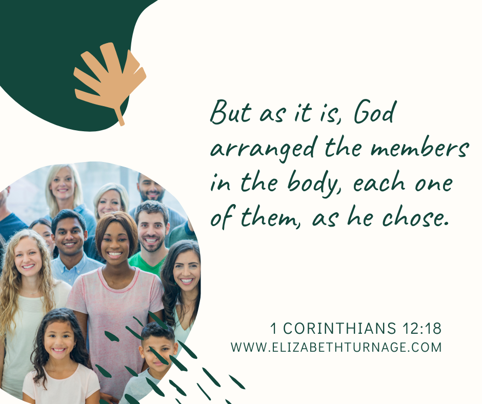 But as it is, God arranged the members in the body, each one of them, as he chose. 1 Corinthians 12:18