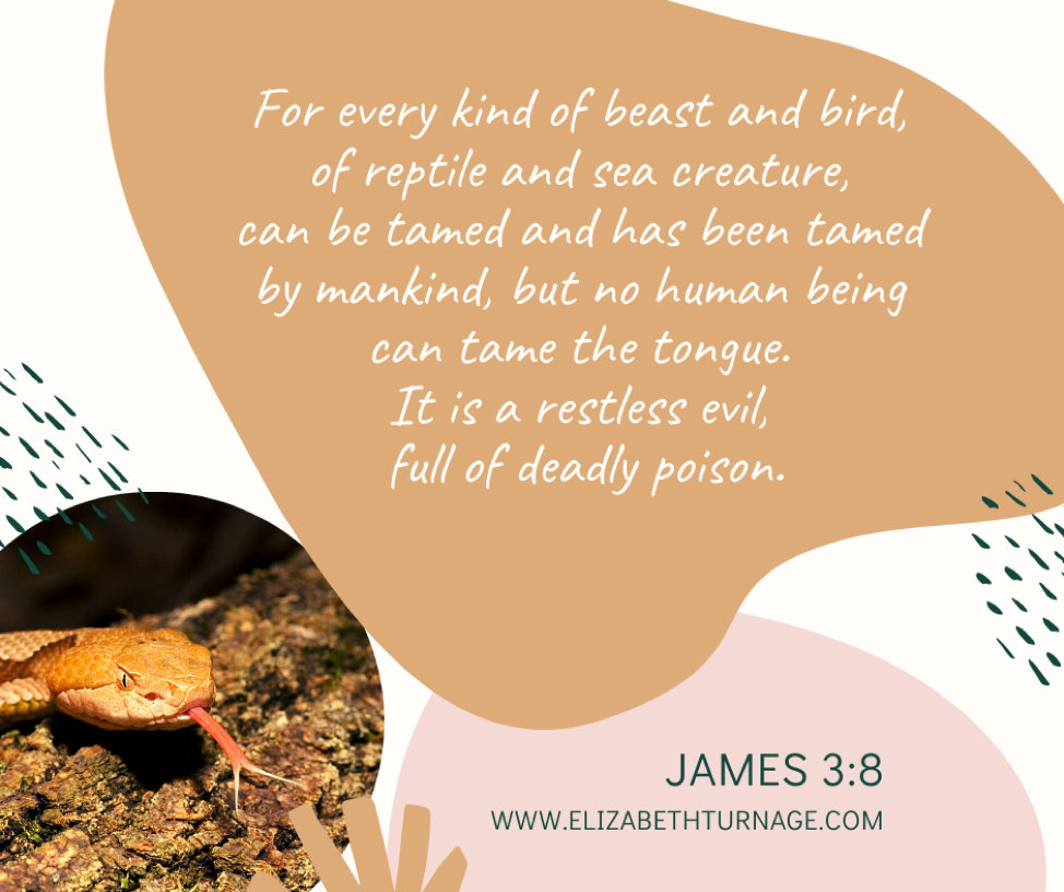 For every kind of beast and bird, of reptile and sea creature, can be tamed and has been tamed by mankind, but no human being can tame the tongue. It is a restless evil, full of deadly poison. James 3:8