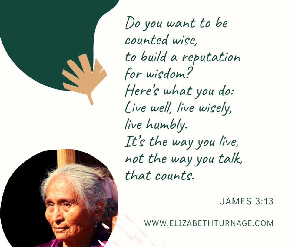 Do you want to be counted wise, to build a reputation for wisdom? Here’s what you do: Live well, live wisely, live humbly. It’s the way you live, not the way you talk, that counts. James 3:13