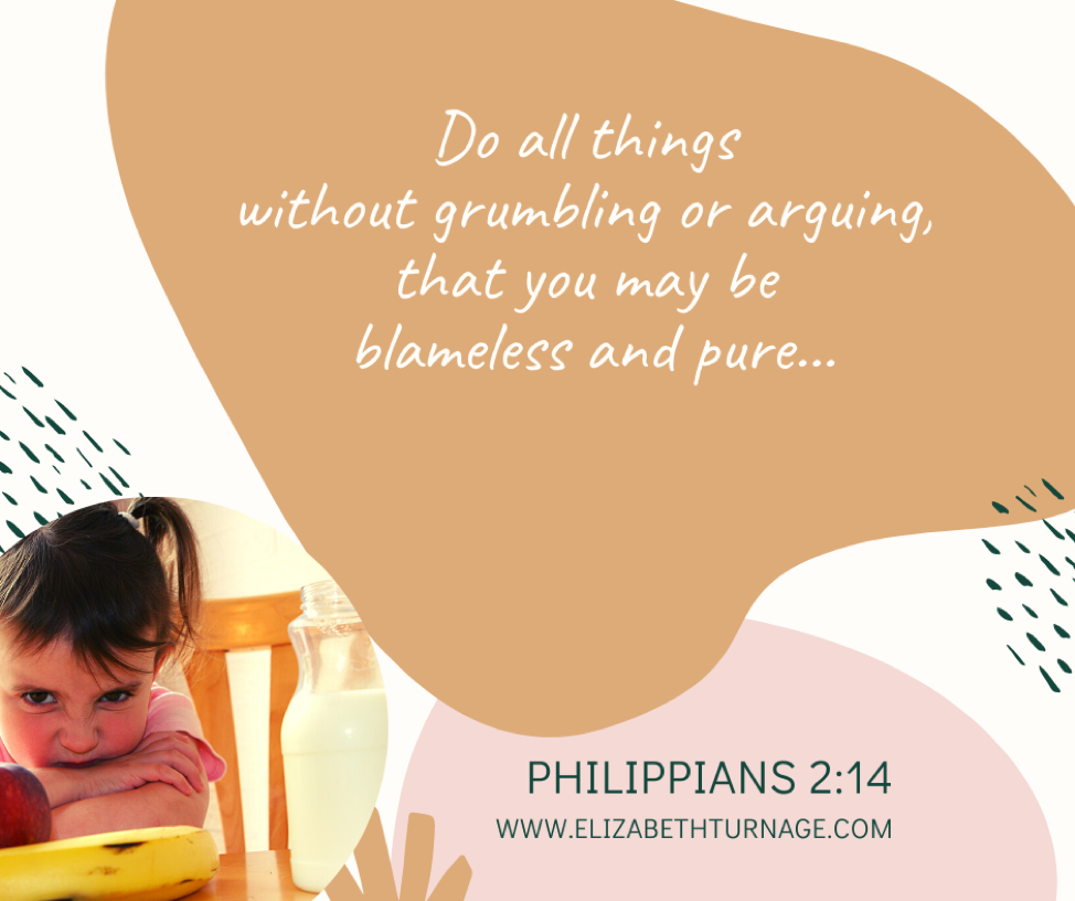 Do all things without grumbling or arguing, that you may be blameless and pure…Philippians 2:14