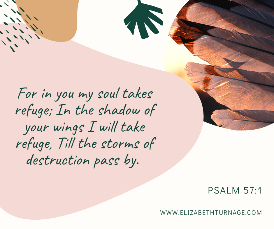 For in you my soul takes refuge; In the shadow of your wings I will take refuge, Till the storms of destruction pass by. Psalm 57:1