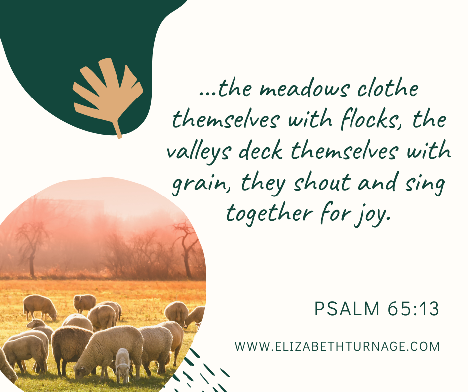 “…the meadows clothe themselves with flocks, the valleys deck themselves with grain, they shout and sing together for joy.” Psalm 65:13