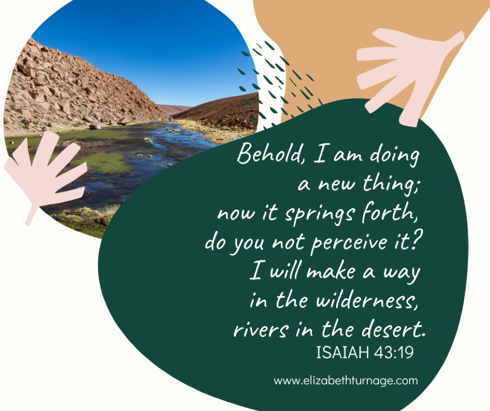 Behold, I am doing a new thing; now it springs forth, do you not perceive it? I will make a way in the wilderness, rivers in the desert. ISAIAH 43:19