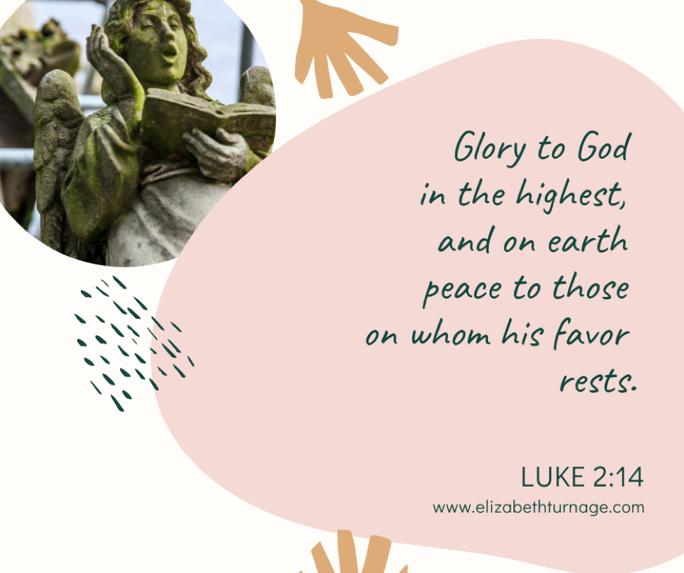 Glory to God in the highest, and on earth peace to those on whom his favor rests. Luke 2:14