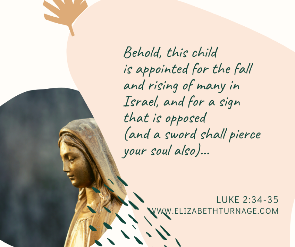 xBehold, this child is appointed for the fall and rising of many in Israel, and for a sign that is opposed (and a sword shall pierce your soul also)…Luke 2:34-35