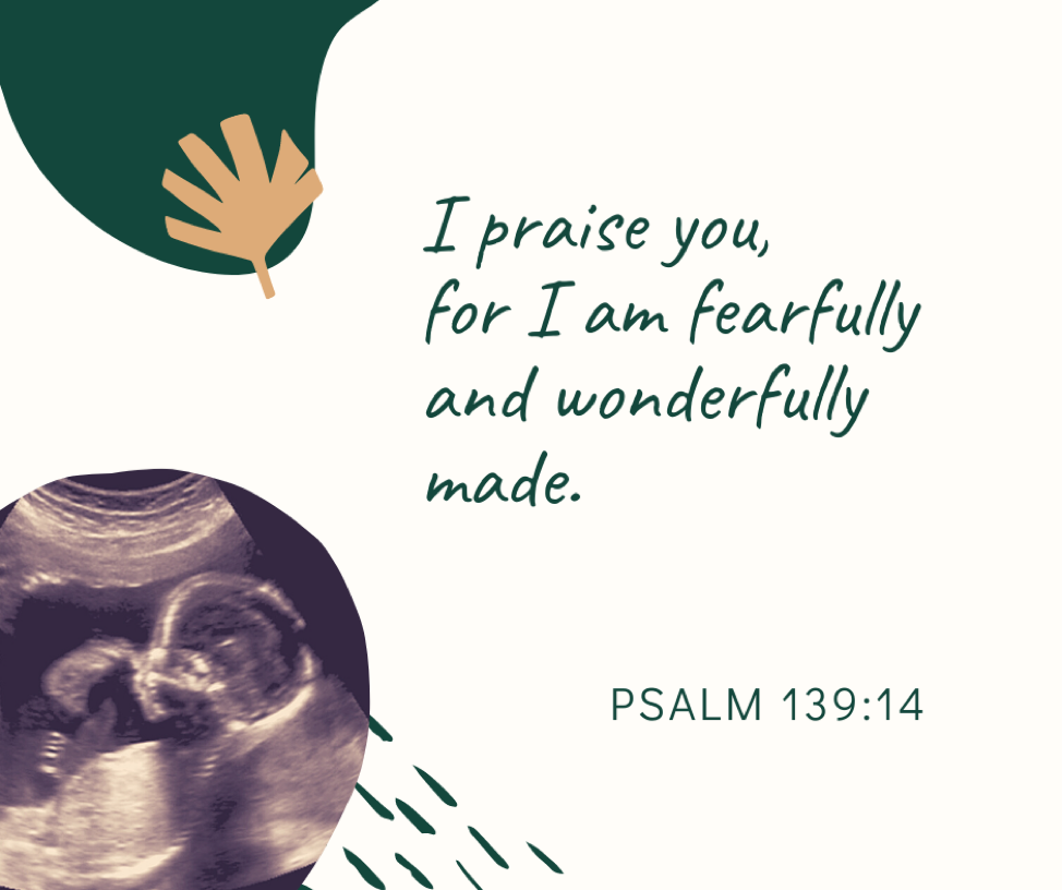 I praise you, for I am fearfully and wonderfully made. Psalm 139:14