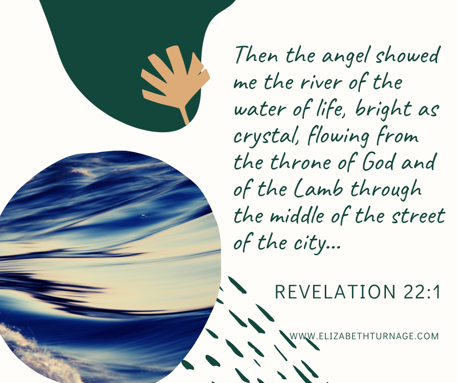 Then the angel showed me the river of the water of life, bright as crystal, flowing from the throne of God and of the Lamb through the middle of the street of the city…. Revelation 22:1