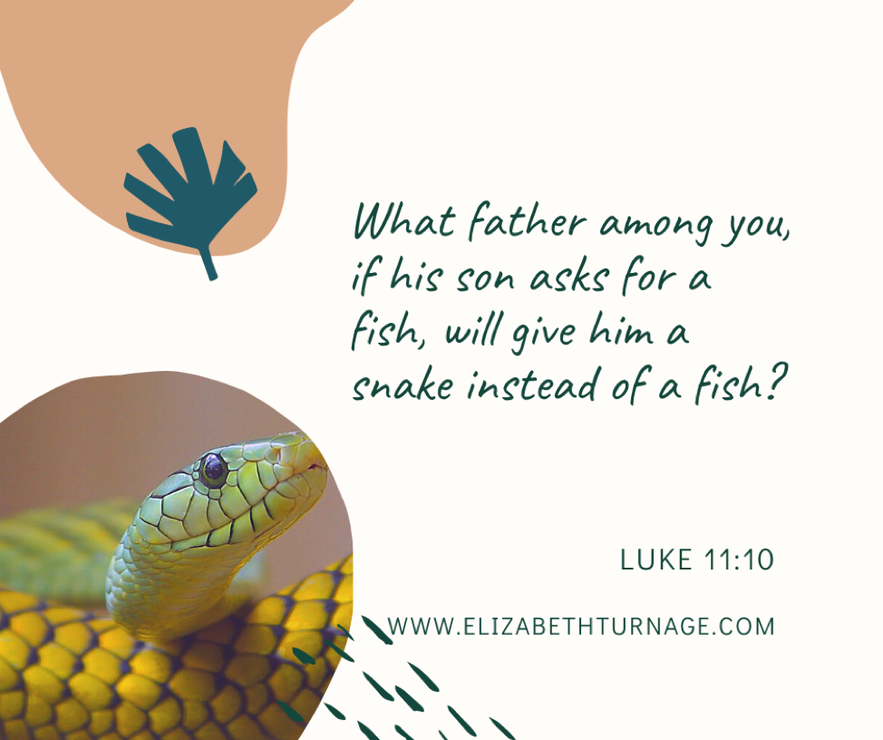 What father among you, if his son asks for a fish, will give him a snake instead of a fish? Luke 11:10