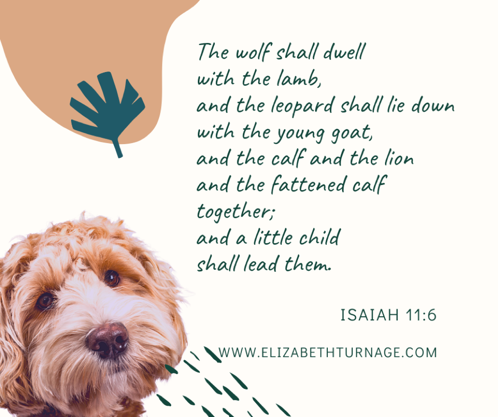 The wolf shall dwell with the lamb, and the leopard shall lie down with the young goat, and the calf and the lion and the fattened calf together; and a little child shall lead them. Isaiah 11:6