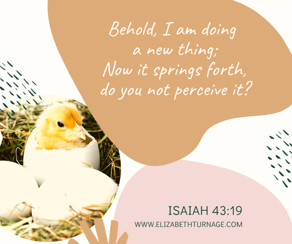 Behold, I am doing a new thing; Now it springs forth, do you not perceive it? Isaiah 43:19