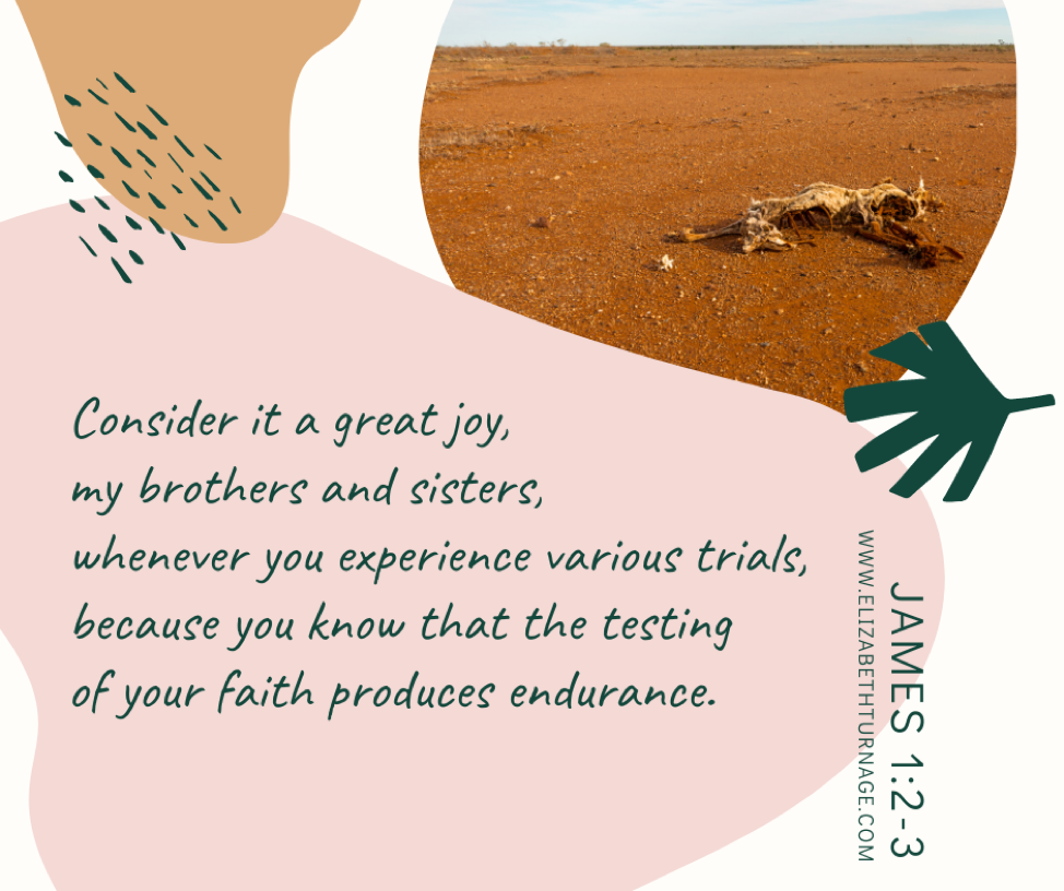 Consider it a great joy, my brothers and sisters, whenever you experience various trials, because you know that the testing of your faith produces endurance. James 1:2-3