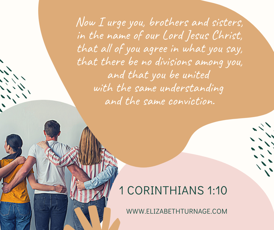 Now I urge you, brothers and sisters, in the name of our Lord Jesus Christ, that all of you agree in what you say, that there be no divisions among you, and that you be united with the same understanding and the same conviction. 1 Corinthians 1:10