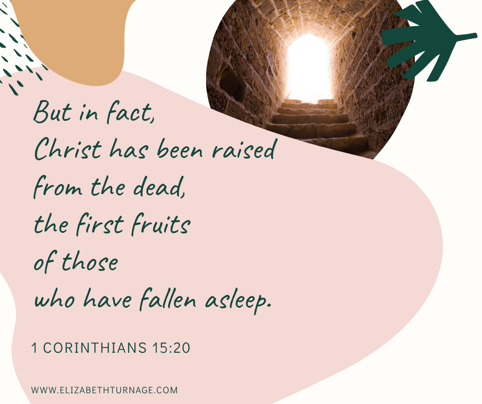 But in fact, Christ has been raised from the dead, the first fruits of those who have fallen asleep. 1 Corinthians 15:20.