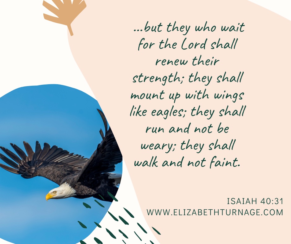 …but they who wait for the Lord shall renew their strength; they shall mount up with wings like eagles; they shall run and not be weary; they shall walk and not faint. Isaiah 40:31