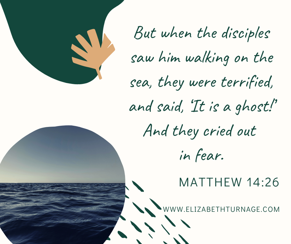 But when the disciples saw him walking on the sea, they were terrified, and said, ‘It is a ghost!’ And they cried out in fear. Matthew 14:26