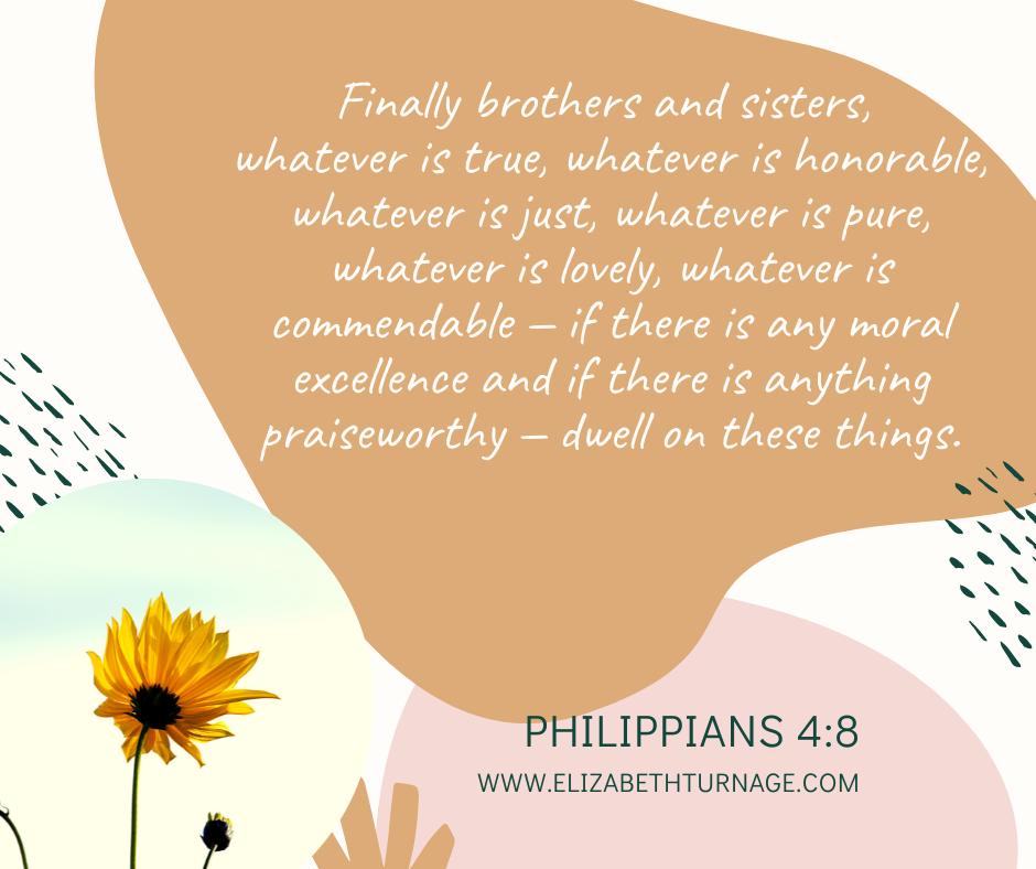 Finally brothers and sisters, whatever is true, whatever is honorable, whatever is just, whatever is pure, whatever is lovely, whatever is commendable — if there is any moral excellence and if there is anything praiseworthy — dwell on these things. Philippians 4:8