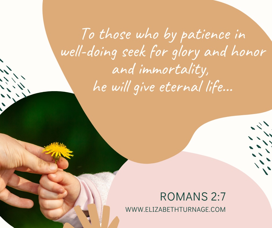 To those who by patience in well-doing seek for glory and honor and immortality, he will give eternal life…Romans 2:7