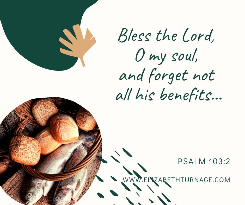 Bless the Lord, O my soul, and forget not all his benefits…Psalm 103:2