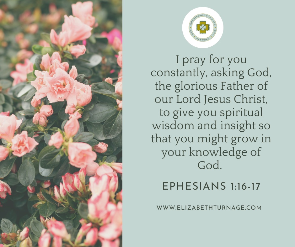 I pray for you constantly, asking God, the glorious Father of our Lord Jesus Christ, to give you spiritual wisdom and insight so that you might grow in your knowledge of God. Ephesians 1:16-17