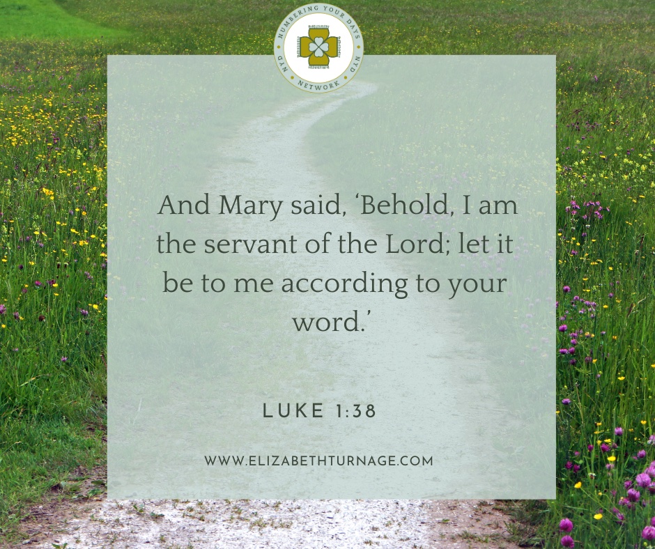 And Mary said, ‘Behold, I am the servant of the Lord; let it be to me according to your word.’ Luke 1:38