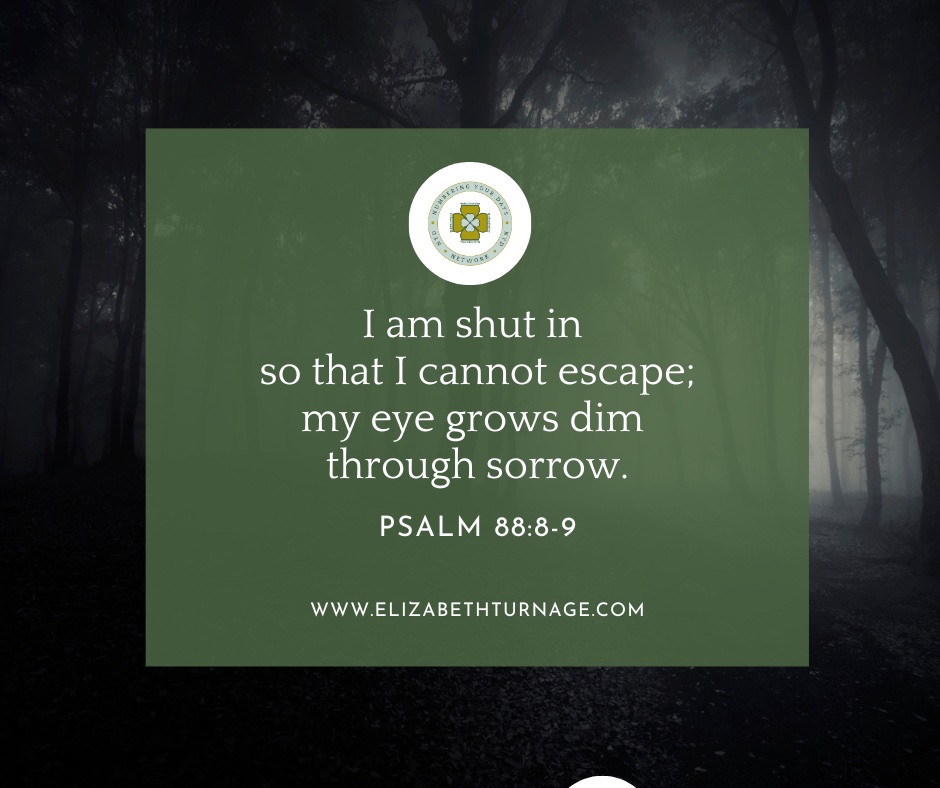 I am shut in so that I cannot escape; my eye grows dim through sorrow. Psalm 88:8-9