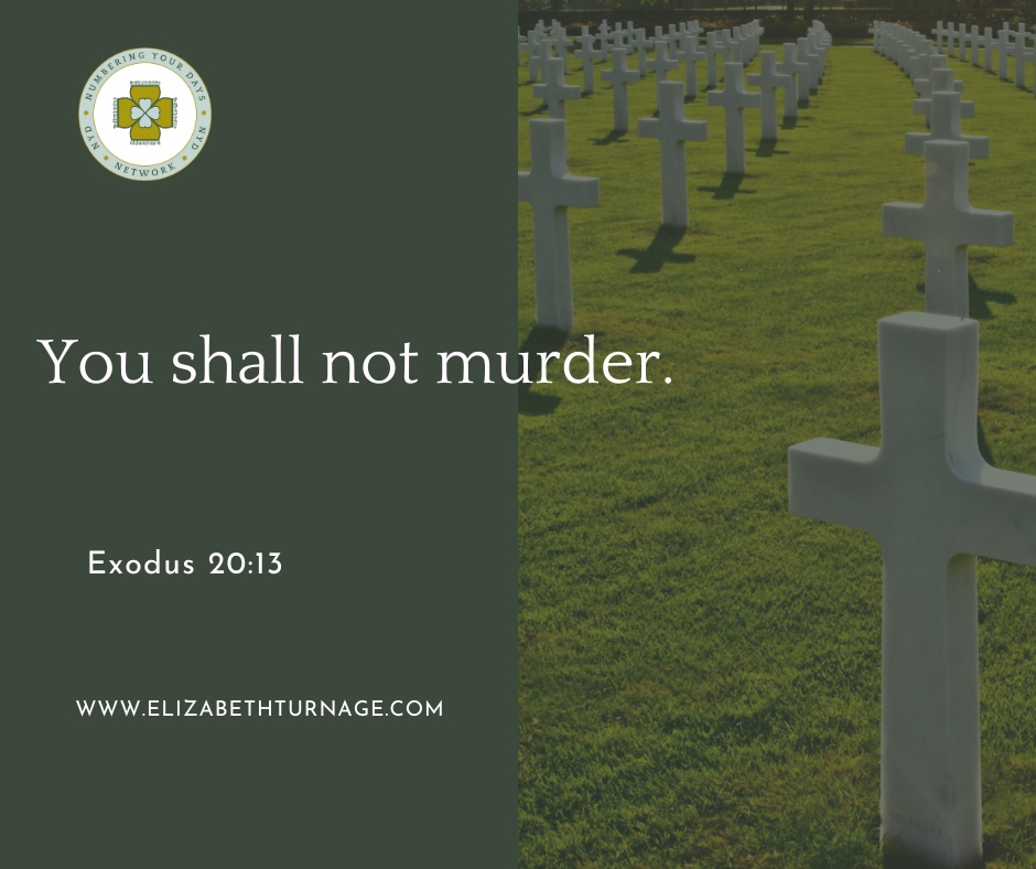 You shall not murder. Exodus 20:13