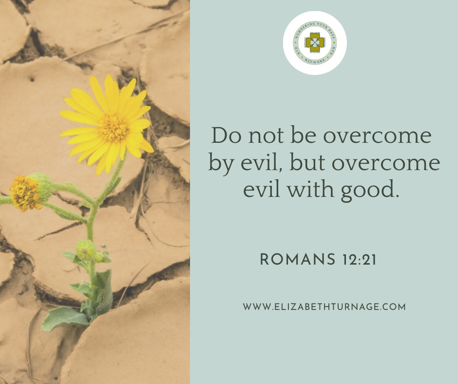 Do not be overcome by evil, but overcome evil with good. Romans 12:21