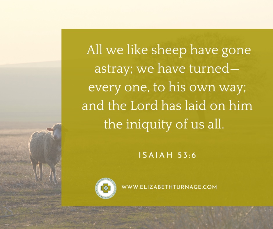 All we like sheep have gone astray; we have turned—every one, to his own way; and the Lord has laid on him the iniquity of us all. Isaiah 53:6