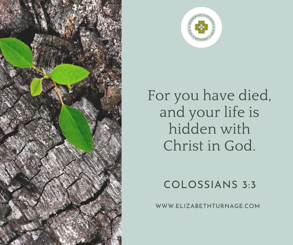 For you have died, and your life is hidden with Christ in God. Col. 3:3