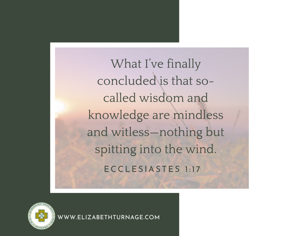 What I’ve finally concluded is that so-called wisdom and knowledge are mindless and witless—nothing but spitting into the wind. Ecclesiastes 1:17