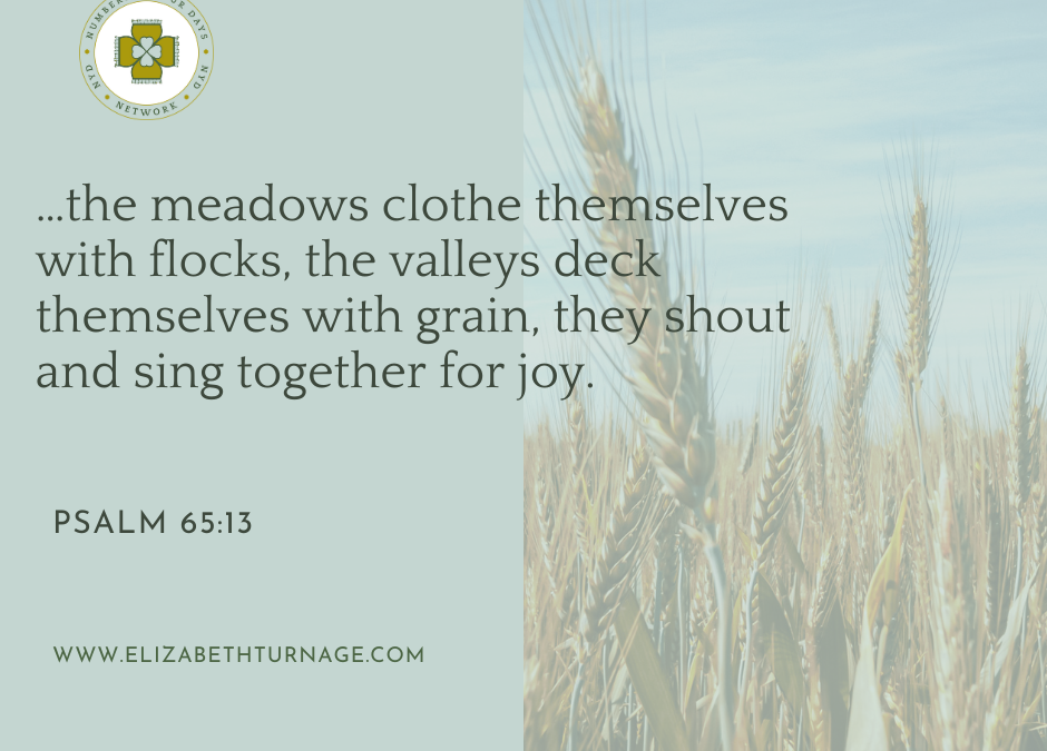 A Prayer about the Abundant Harvest to Come