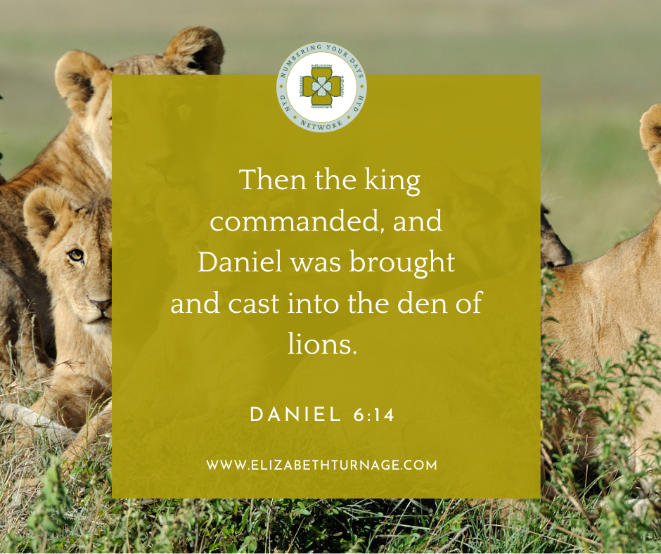 Then the king commanded, and Daniel was brought and cast into the den of lions. Daniel 6:14