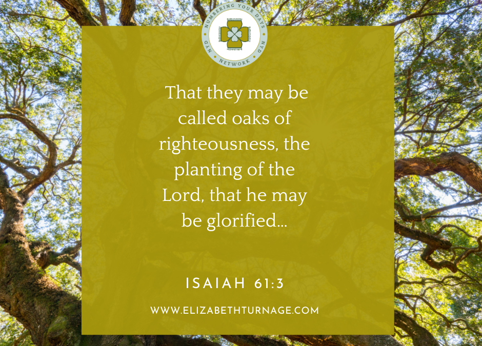 A Prayer about Becoming an Oak of Righteousness