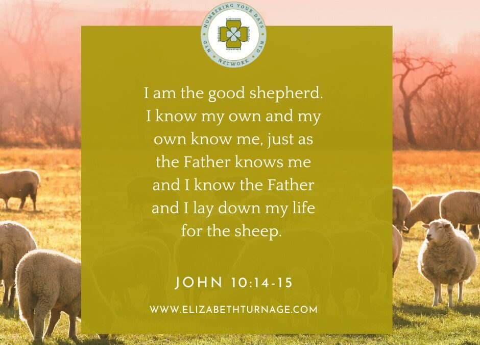 A Prayer about the Good Shepherd