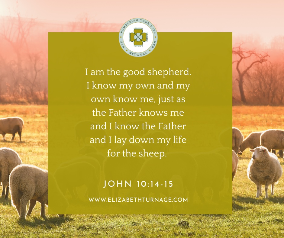 I am the good shepherd. I know my own and my own know me, just as the Father knows me and I know the Father and I lay down my life for the sheep. John 10:14-15