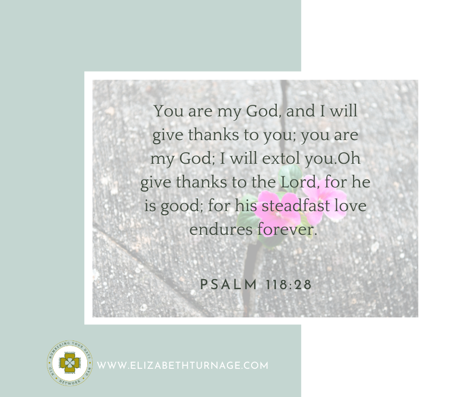 You are my God, and I will give thanks to you; you are my God; I will extol you.Oh give thanks to the Lord, for he is good; for his steadfast love endures forever. Psalm 118:28