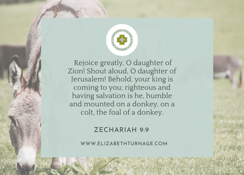 A Prayer about a King Riding a Donkey