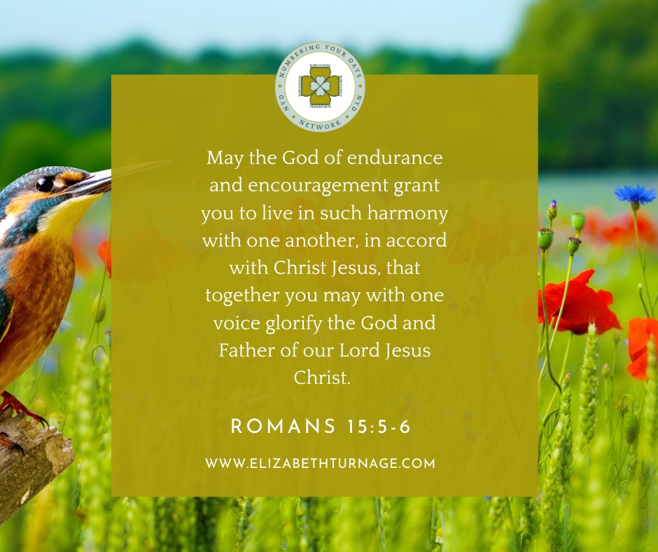 May the God of endurance and encouragement grant you to live in such harmony with one another, in accord with Christ Jesus, that together you may with one voice glorify the God and Father of our Lord Jesus Christ. Romans 15:5-6