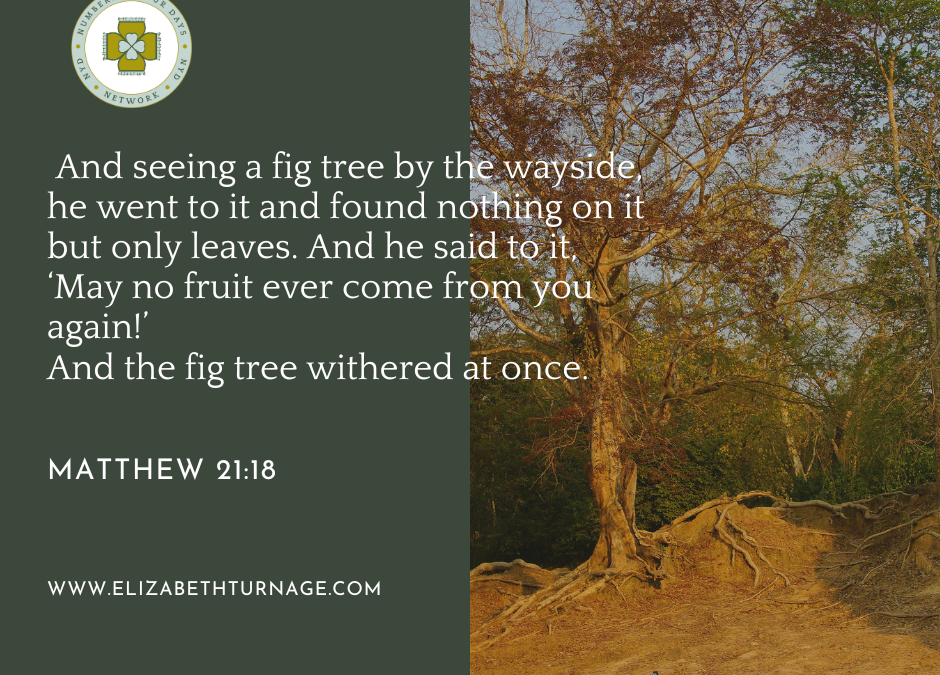 A Prayer about Becoming Fruitful Fig Trees