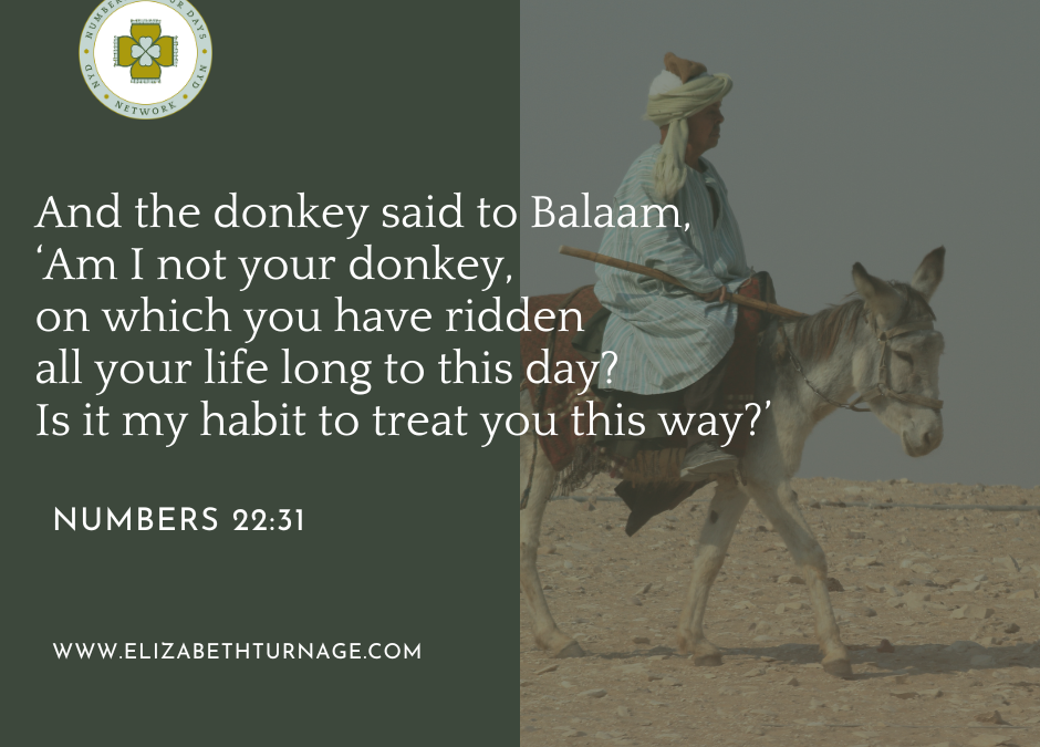 A Prayer about a Talking Donkey