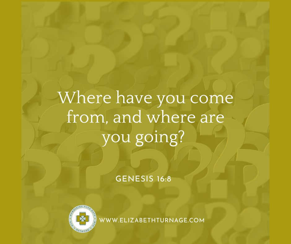 Where have you come from, and where are you going? Genesis 16:8