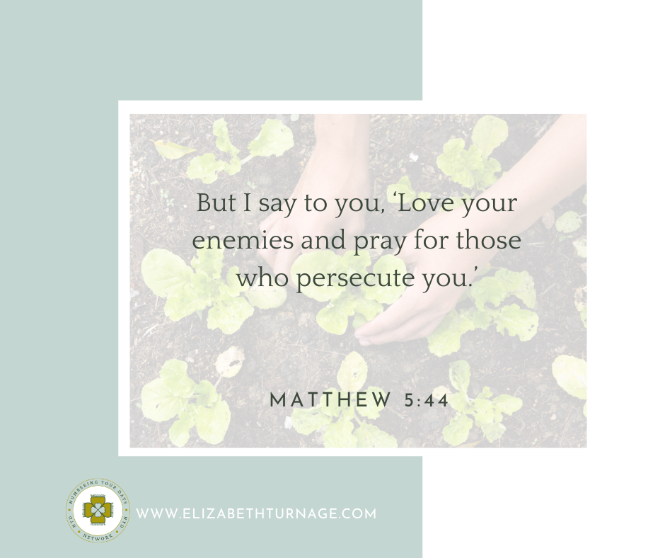 But I say to you, ‘Love your enemies and pray for those who persecute you.’ Matthew 5:44