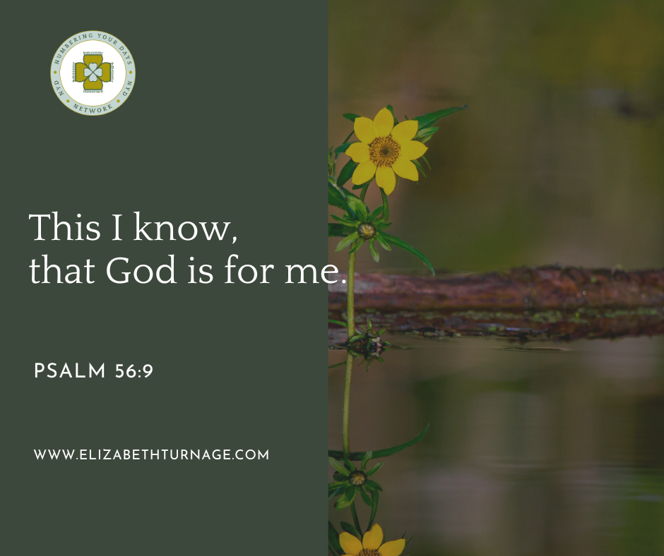 This I know, that God is for me. Psalm 56:9